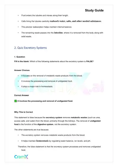 Biology - Excretion and Homeostasis - Page 3 preview image