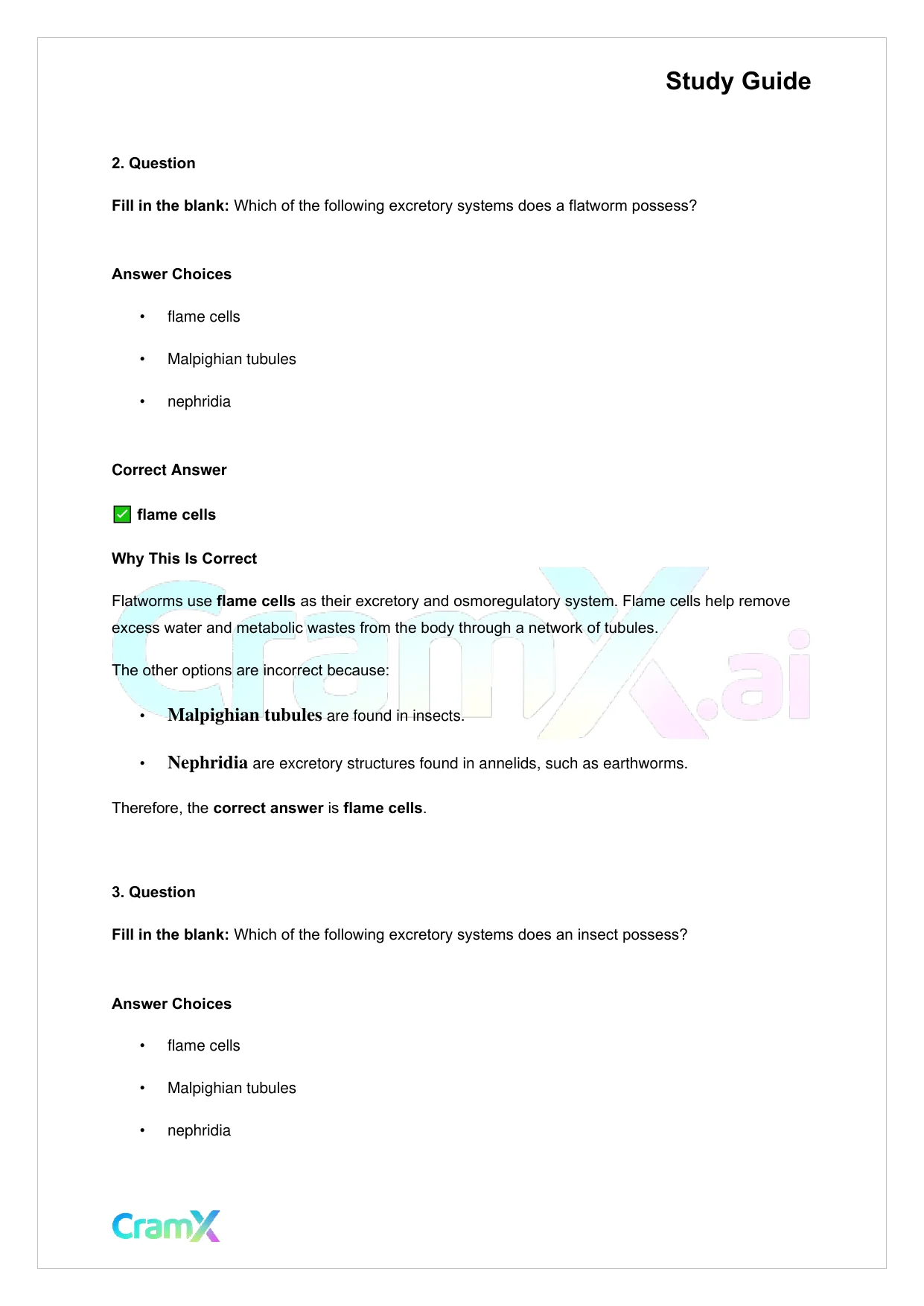 Biology - Excretion and Homeostasis - Page 4 preview image