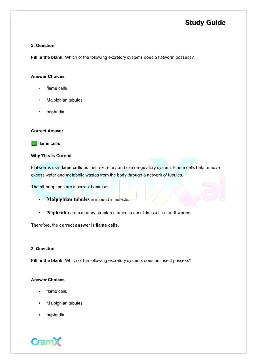 Biology - Excretion and Homeostasis, page 4