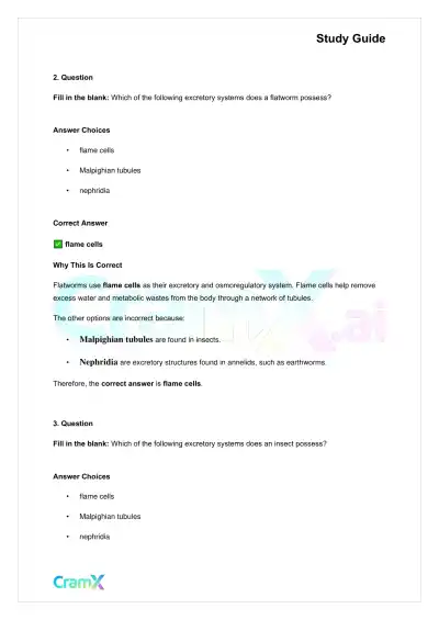 Biology - Excretion and Homeostasis - Page 4 preview image