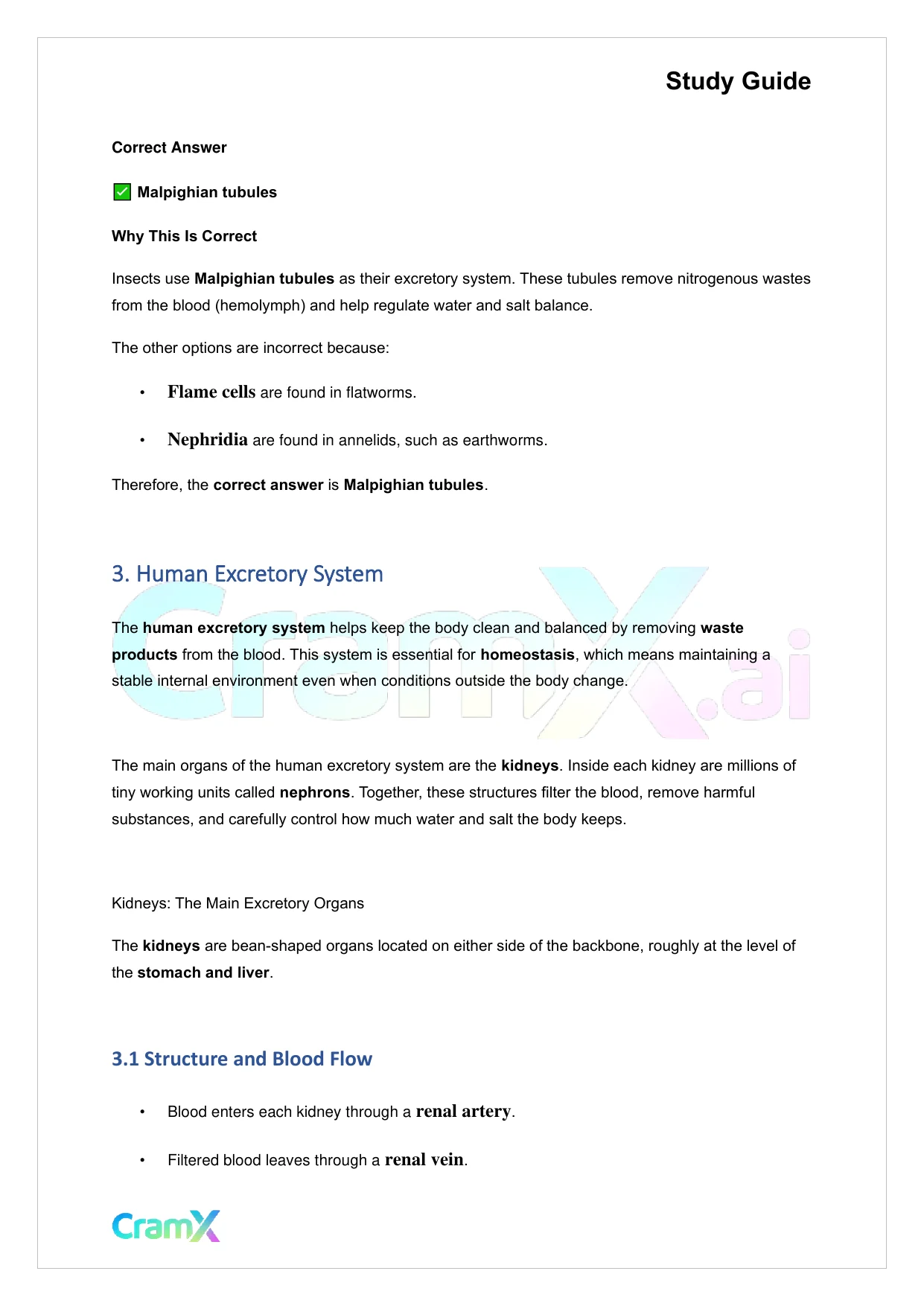 Biology - Excretion and Homeostasis - Page 5 preview image