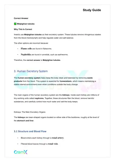 Biology - Excretion and Homeostasis - Page 5 preview image