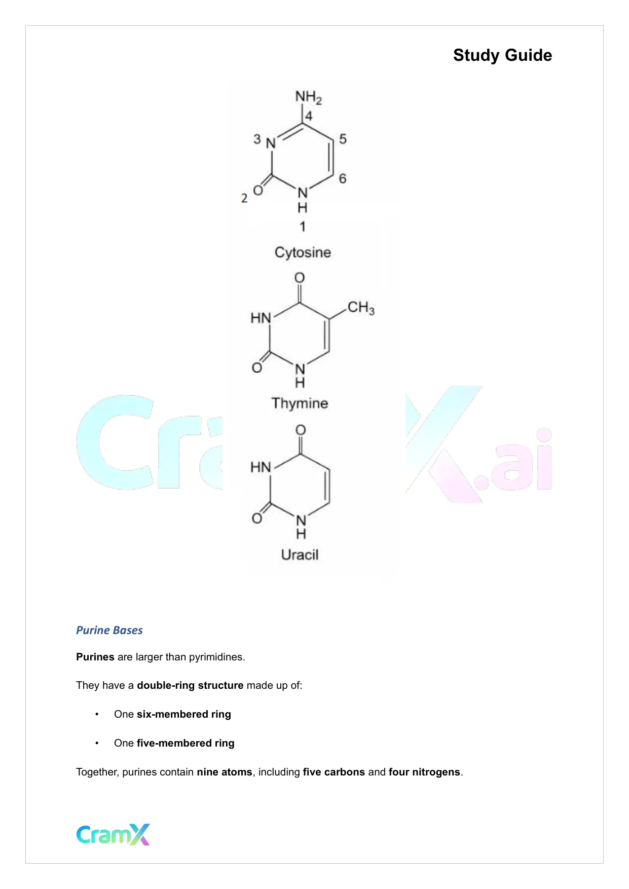 Biochemistry-II - Purines and Pyrimidines - Page 2 preview image