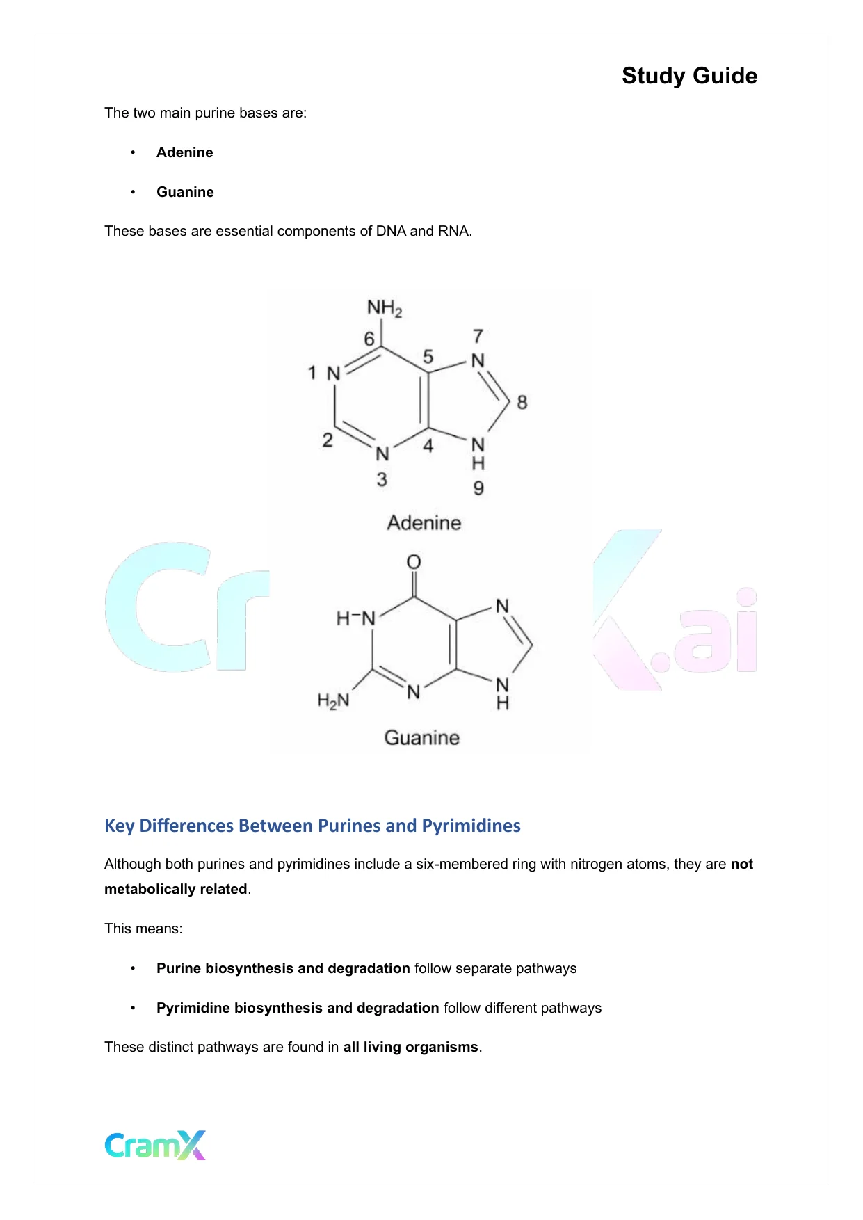 Biochemistry-II - Purines and Pyrimidines - Page 3 preview image