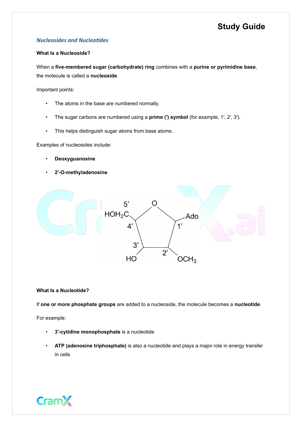 Biochemistry-II - Purines and Pyrimidines - Page 4 preview image