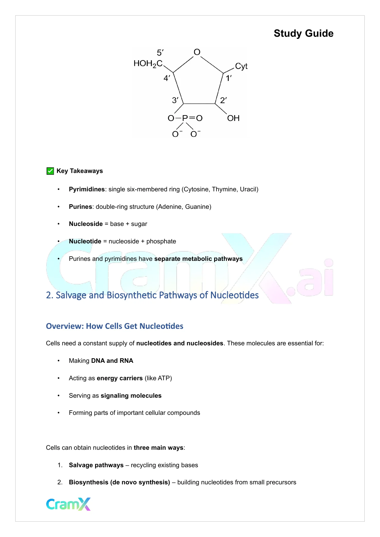 Biochemistry-II - Purines and Pyrimidines - Page 5 preview image