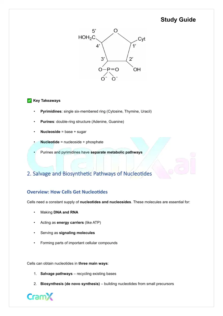Biochemistry-II - Purines and Pyrimidines, page 5