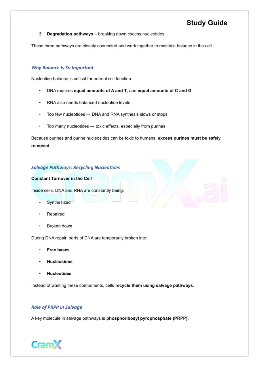 Biochemistry-II - Purines and Pyrimidines, page 6
