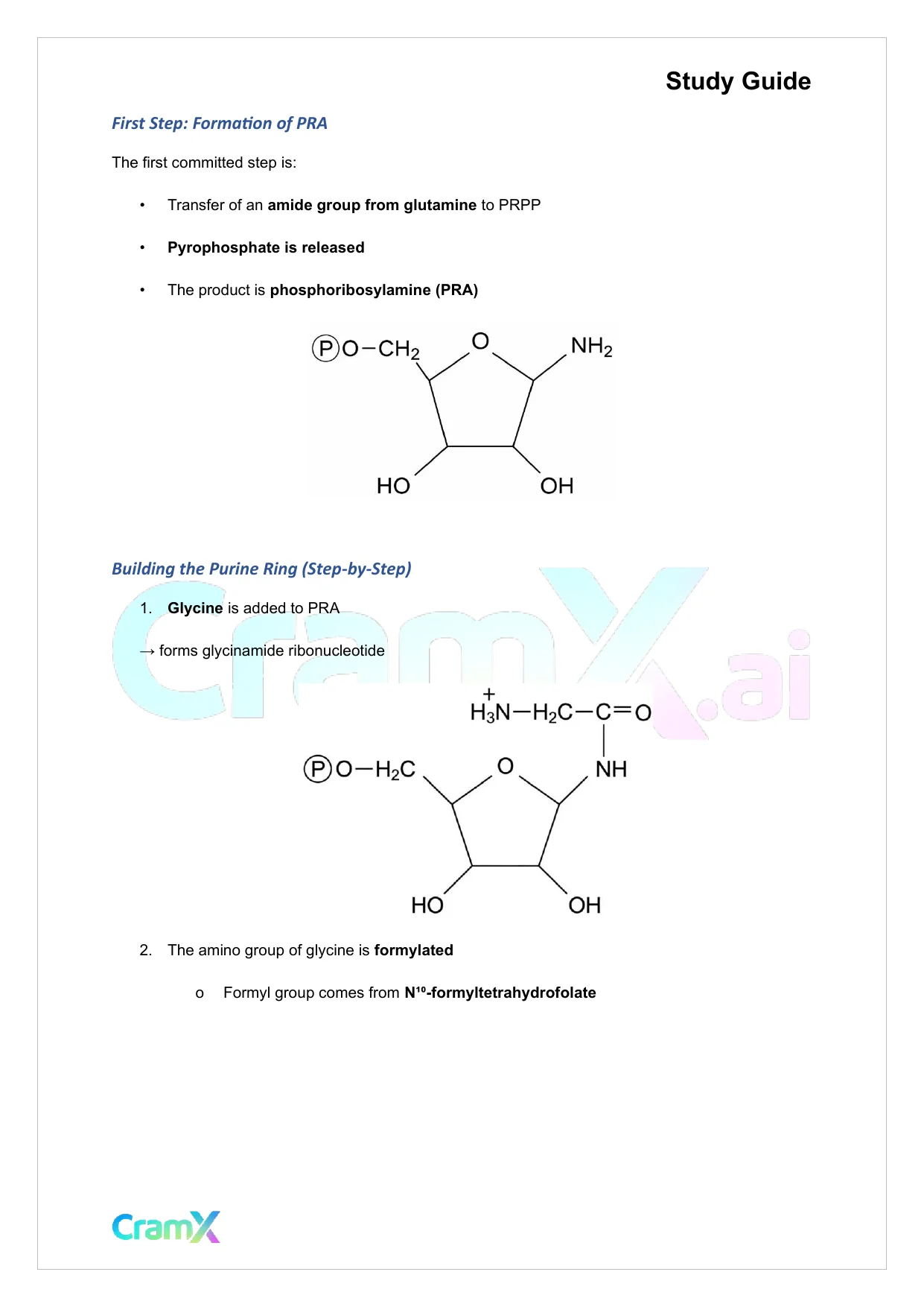 Biochemistry-II - Purines and Pyrimidines - Page 9 preview image