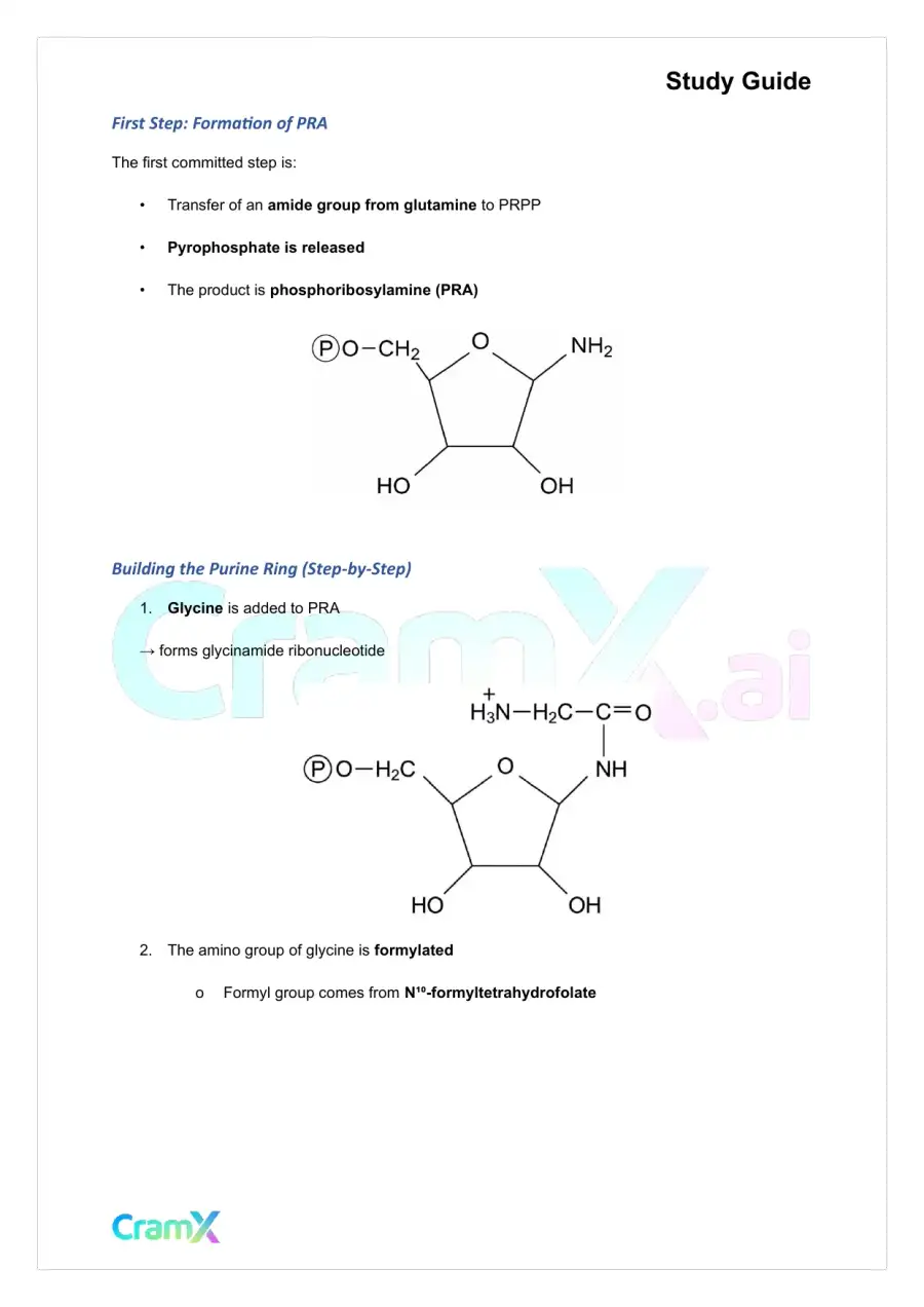Biochemistry-II - Purines and Pyrimidines, page 9