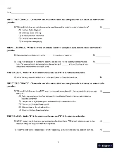 Marketing: An Introduction, 13th Edition Test Bank - Page 1 preview image