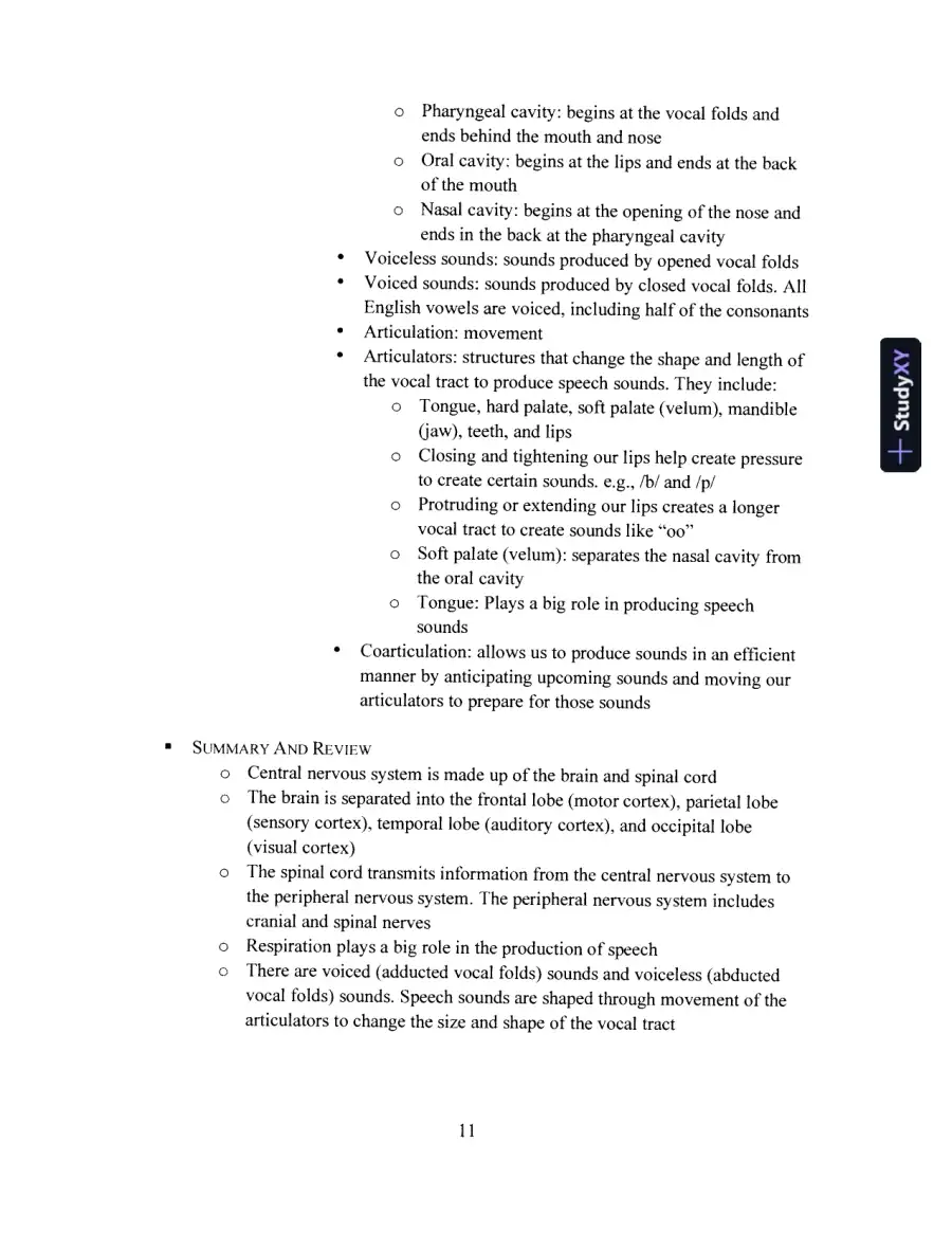 Primer On Communication And Communicative Disorders, A, 1st Edition Test Bank, page 13