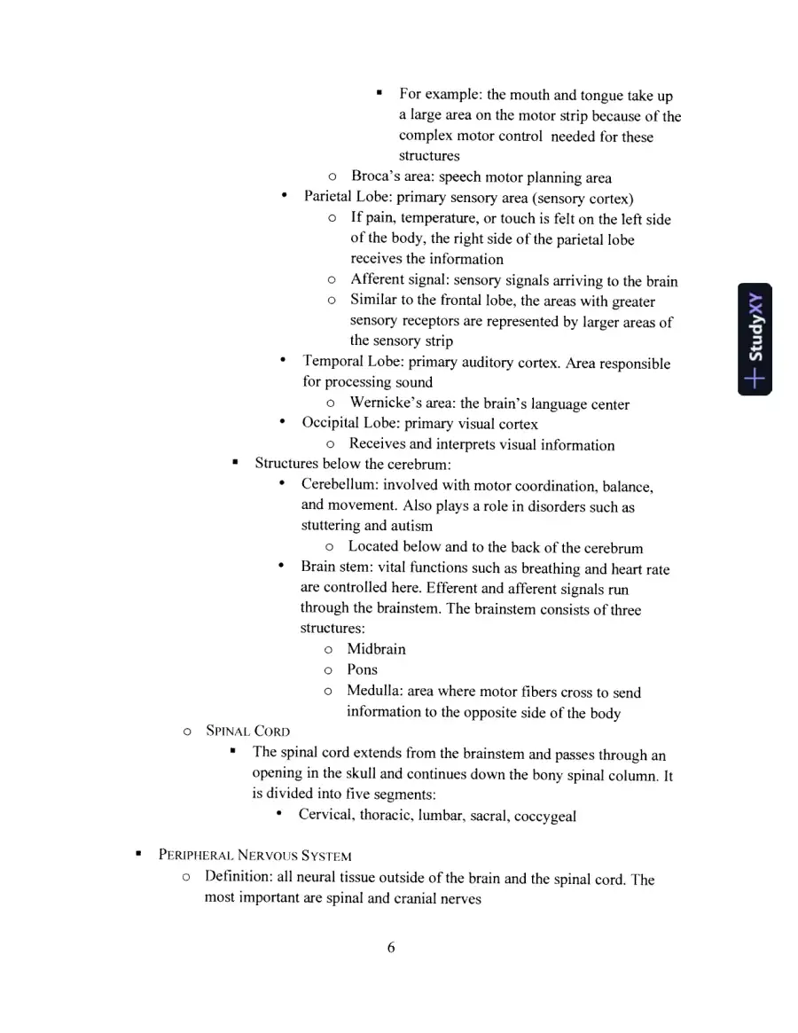 Primer On Communication And Communicative Disorders, A, 1st Edition Test Bank, page 8