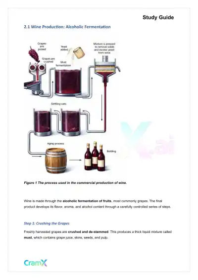 Microbiology - Industrial Microbiology - Page 3 preview image
