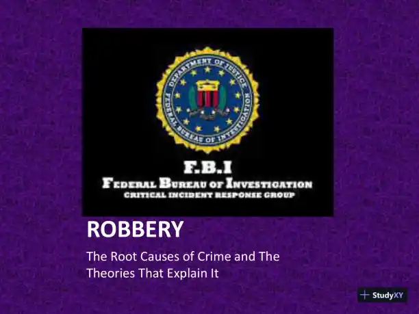 Robbery: The Root Causes Of Crime And The Theories That Explain It - Page 1 preview image