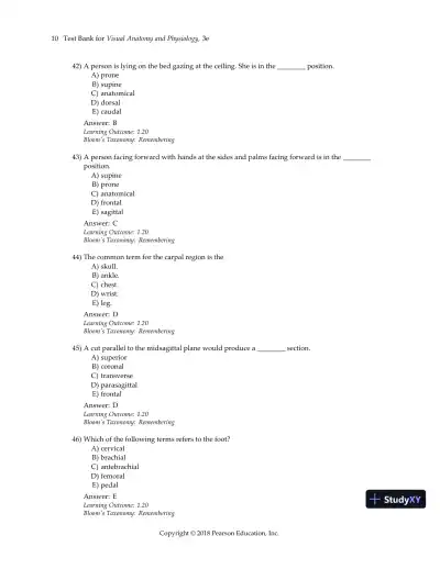 Test Bank For Visual Anatomy & Physiology, 3rd Edition - Page 13 preview image