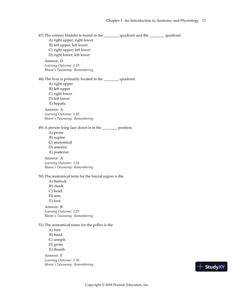 Test Bank For Visual Anatomy & Physiology, 3rd Edition, page 14