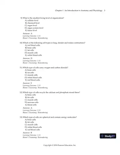 Test Bank For Visual Anatomy & Physiology, 3rd Edition - Page 6 preview image