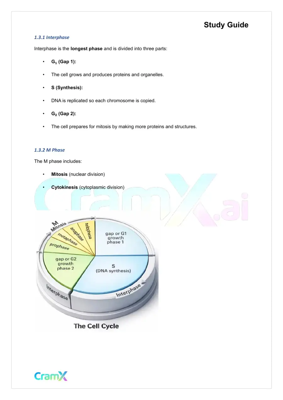 Plant Biology - Cell Division, page 2