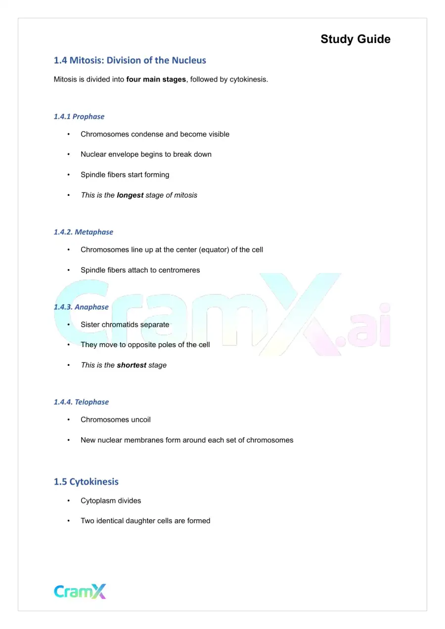 Plant Biology - Cell Division, page 3