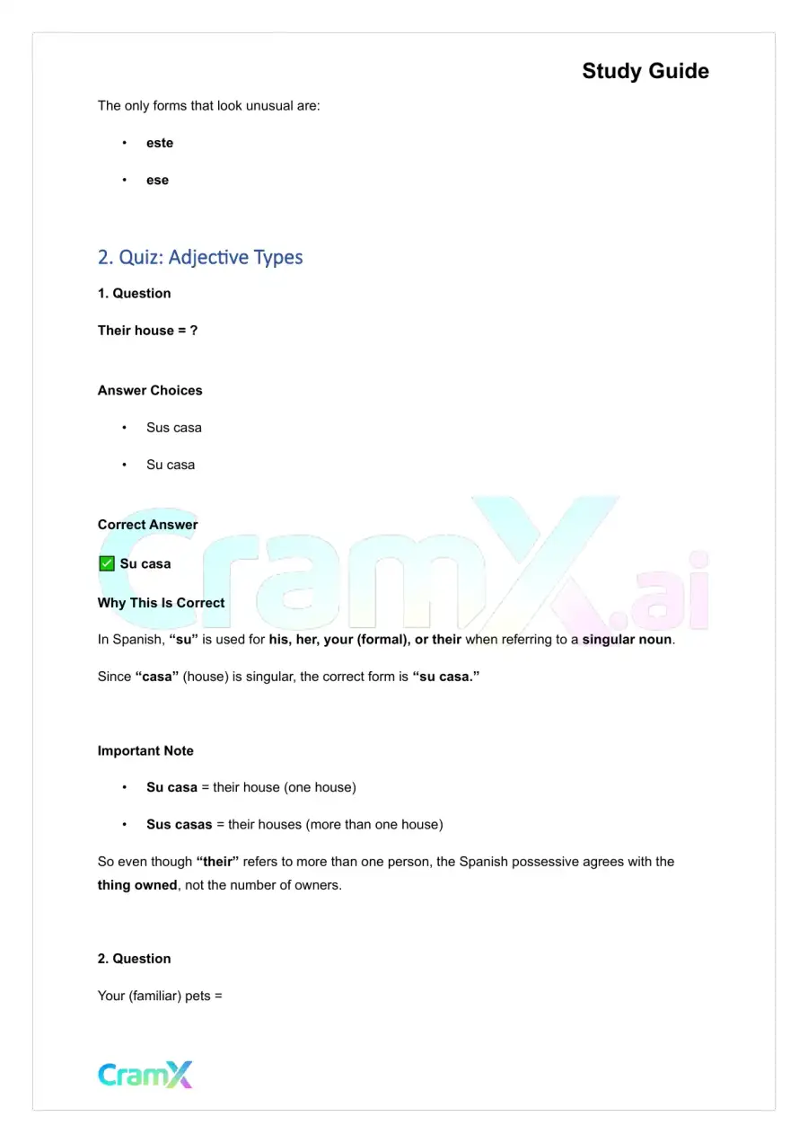 Spanish I - Adjectives, page 8