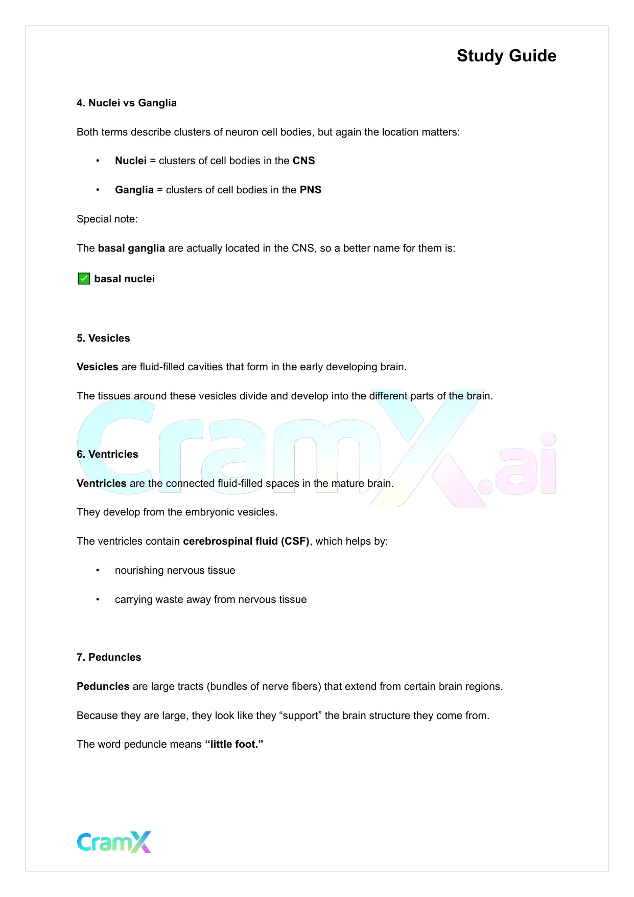Anatomy and Physiology - The Nervous System - Page 2 preview image