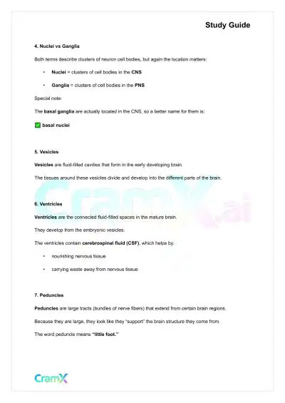 Anatomy and Physiology - The Nervous System - Page 2 preview image