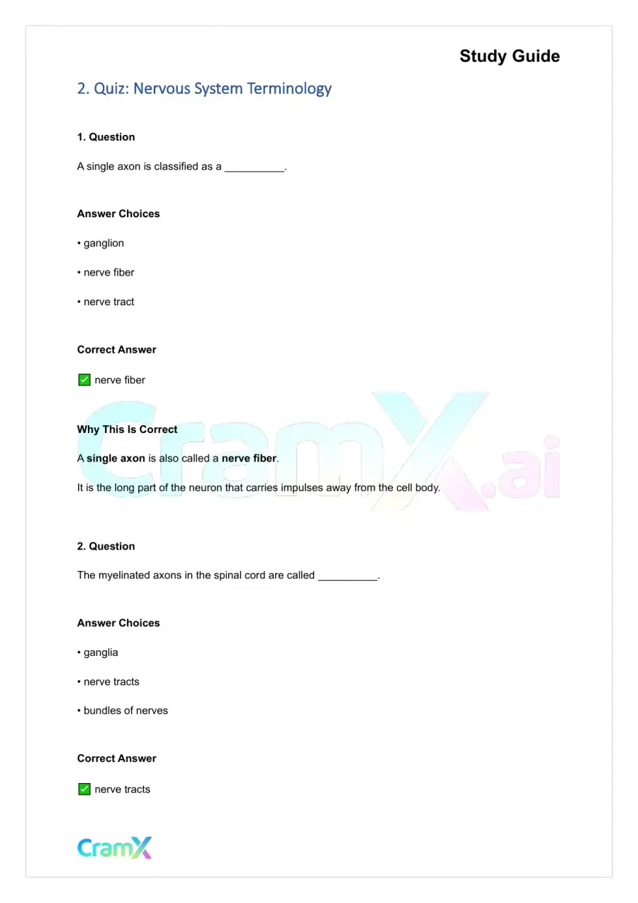 Anatomy and Physiology - The Nervous System, page 3