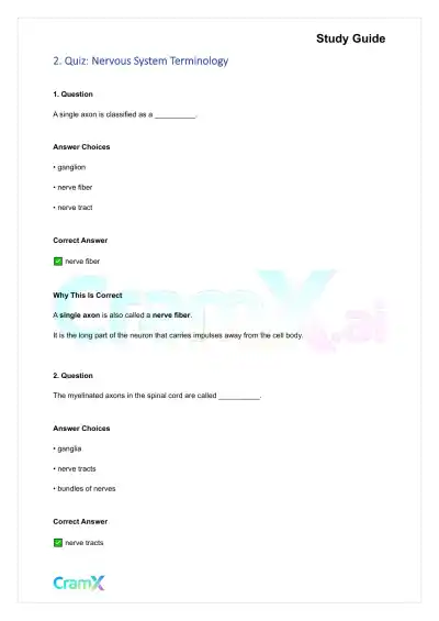 Anatomy and Physiology - The Nervous System - Page 3 preview image