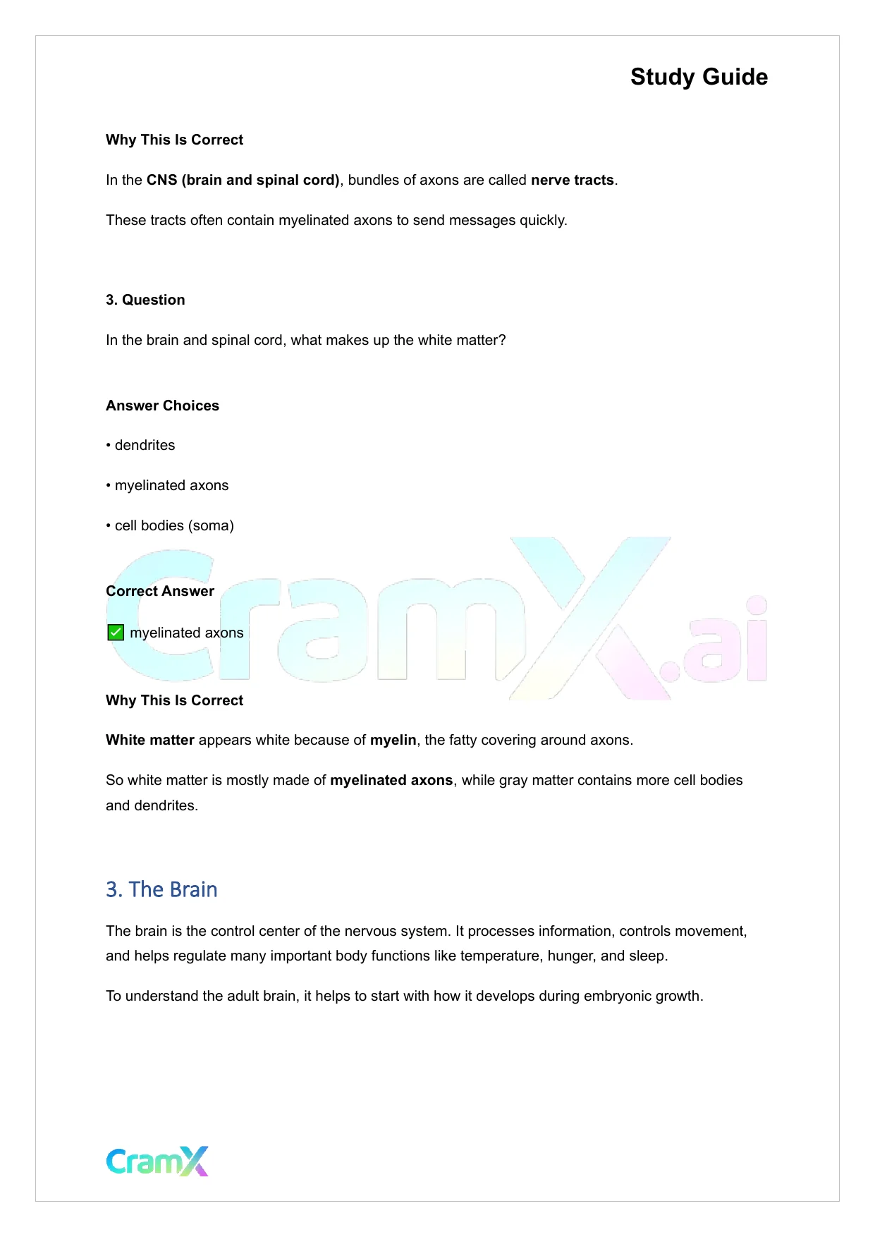 Anatomy and Physiology - The Nervous System - Page 4 preview image