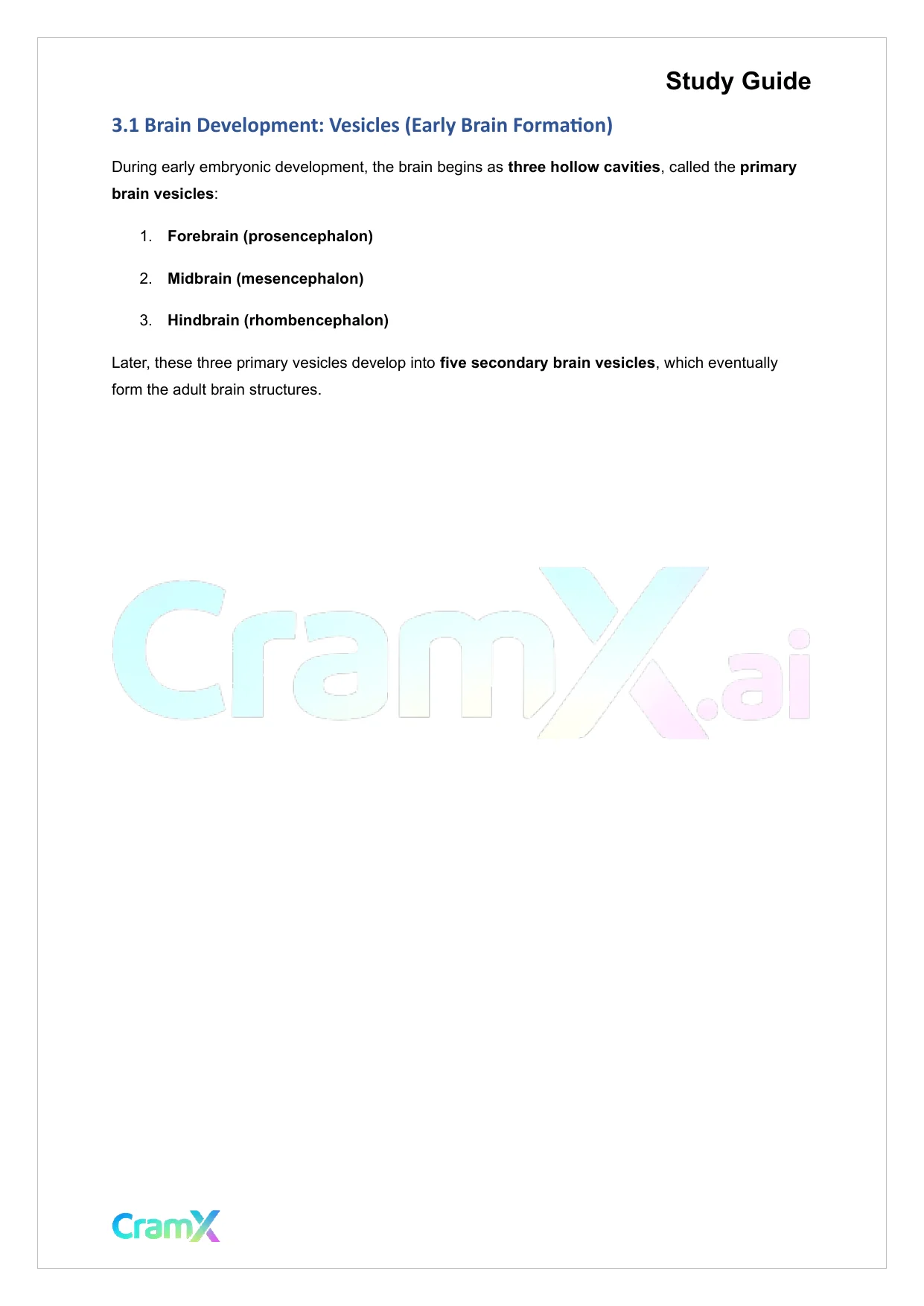 Anatomy and Physiology - The Nervous System - Page 5 preview image
