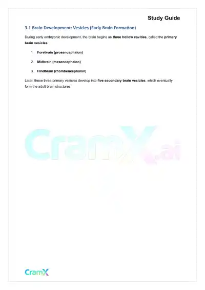 Anatomy and Physiology - The Nervous System - Page 5 preview image
