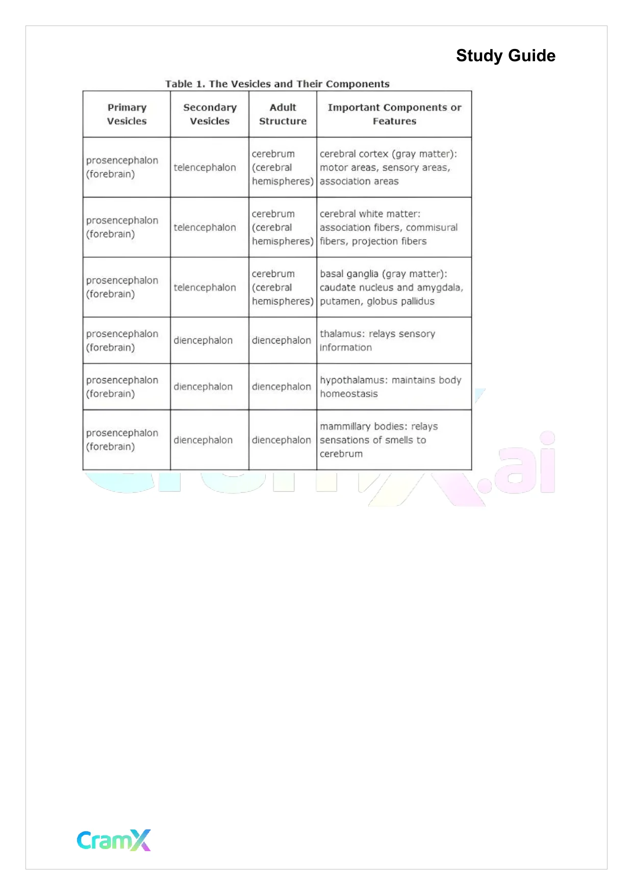 Anatomy and Physiology - The Nervous System - Page 6 preview image