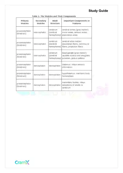 Anatomy and Physiology - The Nervous System - Page 6 preview image