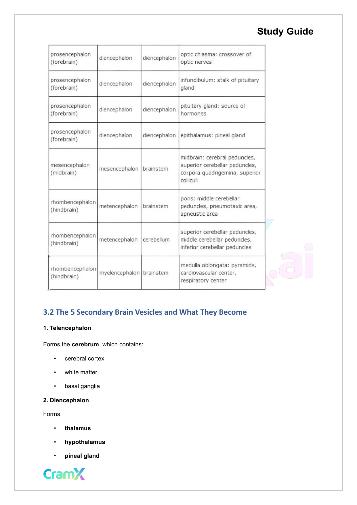 Anatomy and Physiology - The Nervous System - Page 7 preview image