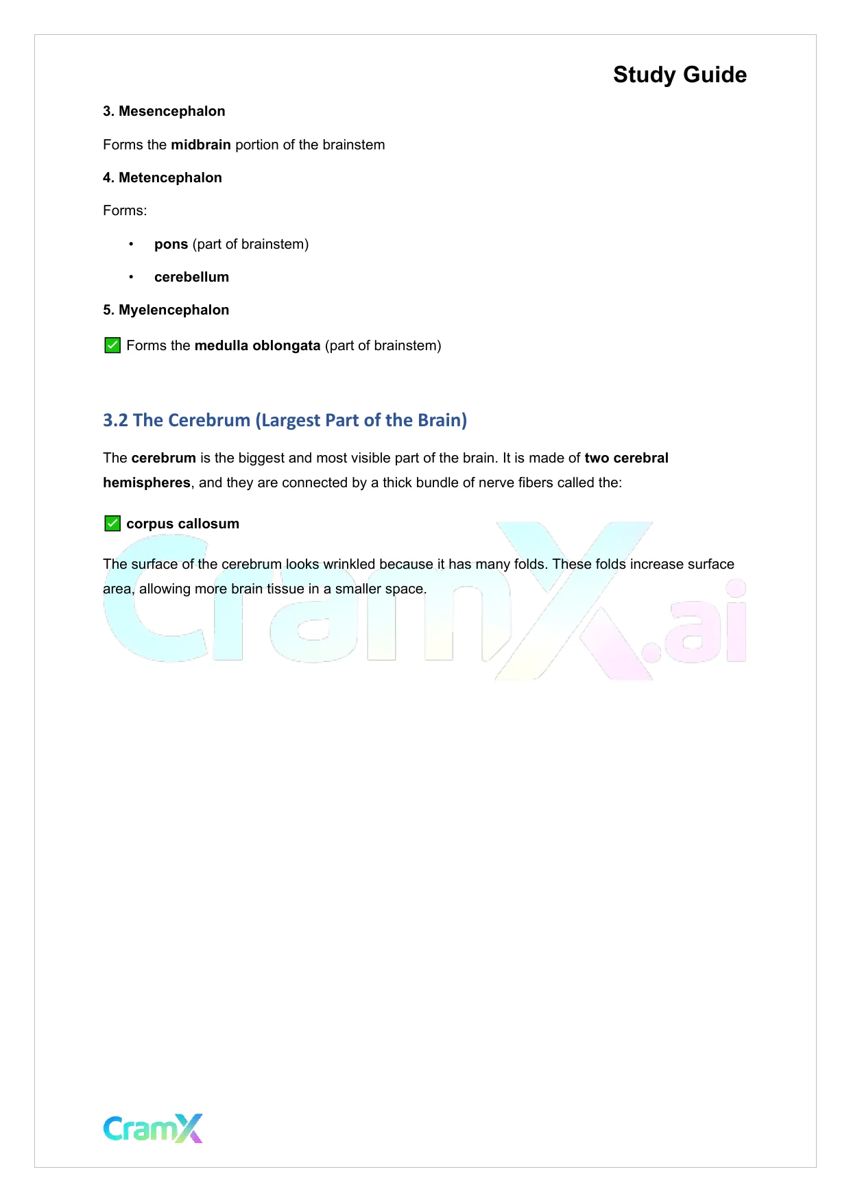 Anatomy and Physiology - The Nervous System - Page 8 preview image