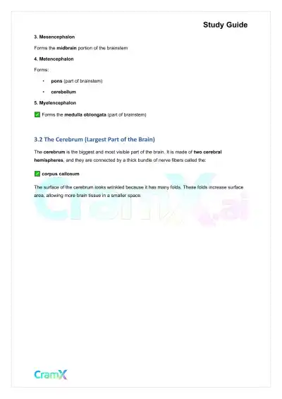 Anatomy and Physiology - The Nervous System - Page 8 preview image
