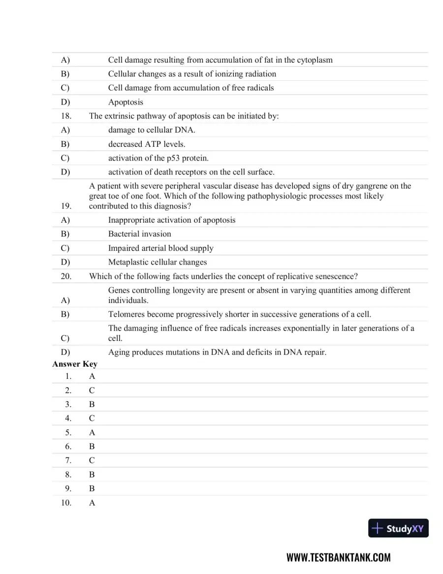 Fundamentals of Pathology 1st Edition Test Bank, page 5