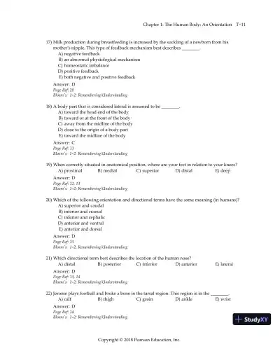 Test Bank for Essentials of Human Anatomy and Physiology, 12th Edition - Page 14 preview image