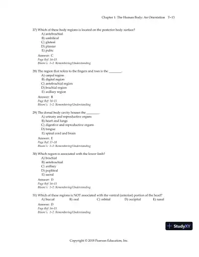 Test Bank for Essentials of Human Anatomy and Physiology, 12th Edition - Page 16 preview image