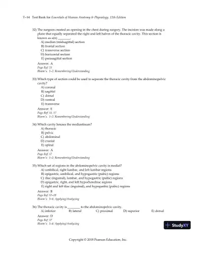 Test Bank for Essentials of Human Anatomy and Physiology, 12th Edition - Page 17 preview image