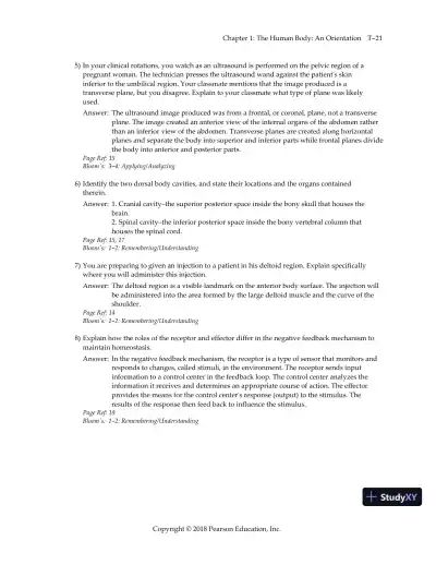 Test Bank for Essentials of Human Anatomy and Physiology, 12th Edition - Page 24 preview image