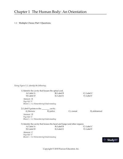 Test Bank for Essentials of Human Anatomy and Physiology, 12th Edition - Page 4 preview image