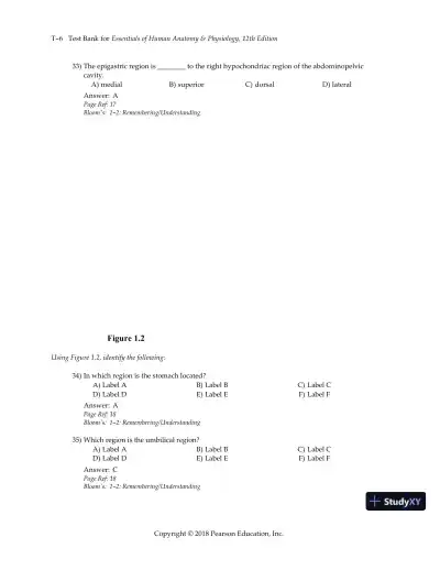Test Bank for Essentials of Human Anatomy and Physiology, 12th Edition - Page 9 preview image