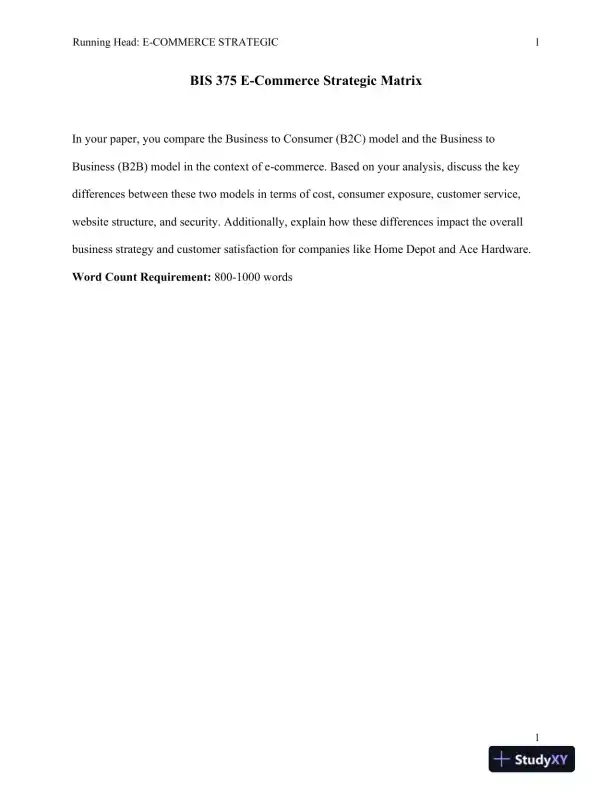 BIS 375 E-Commerce Strategic Matrix - Page 1 preview image