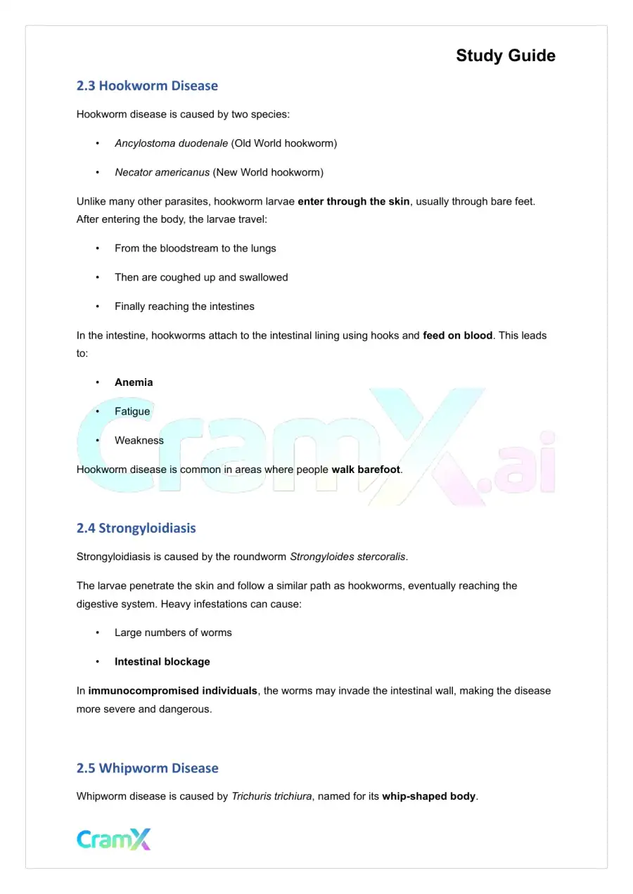 Microbiology - Diseases of the Digestive System, page 4