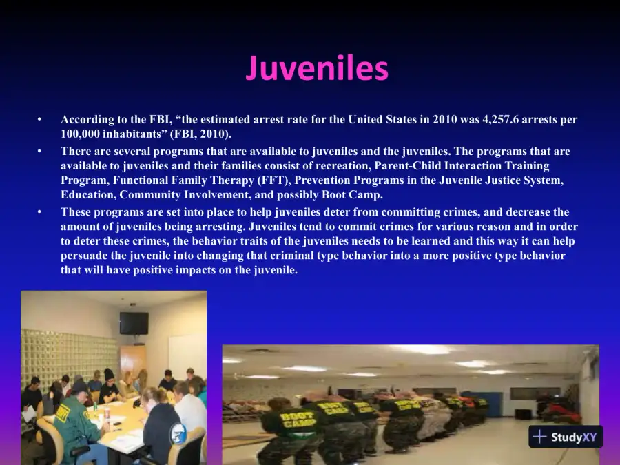 Juvenile Statistical Analysis - CRJ 305 Crime Prevention, page 4