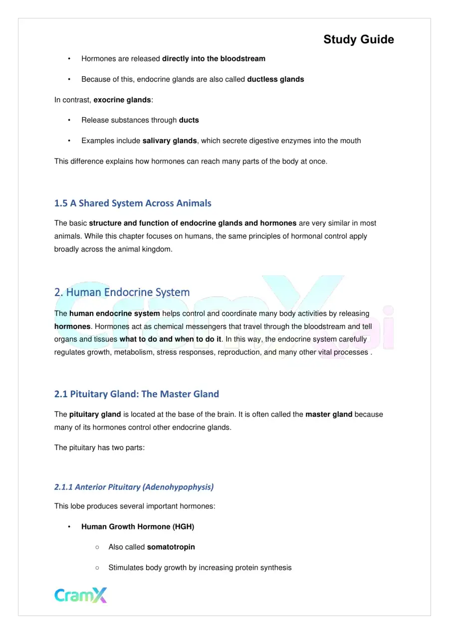 Biology - Chemical Coordination, page 3