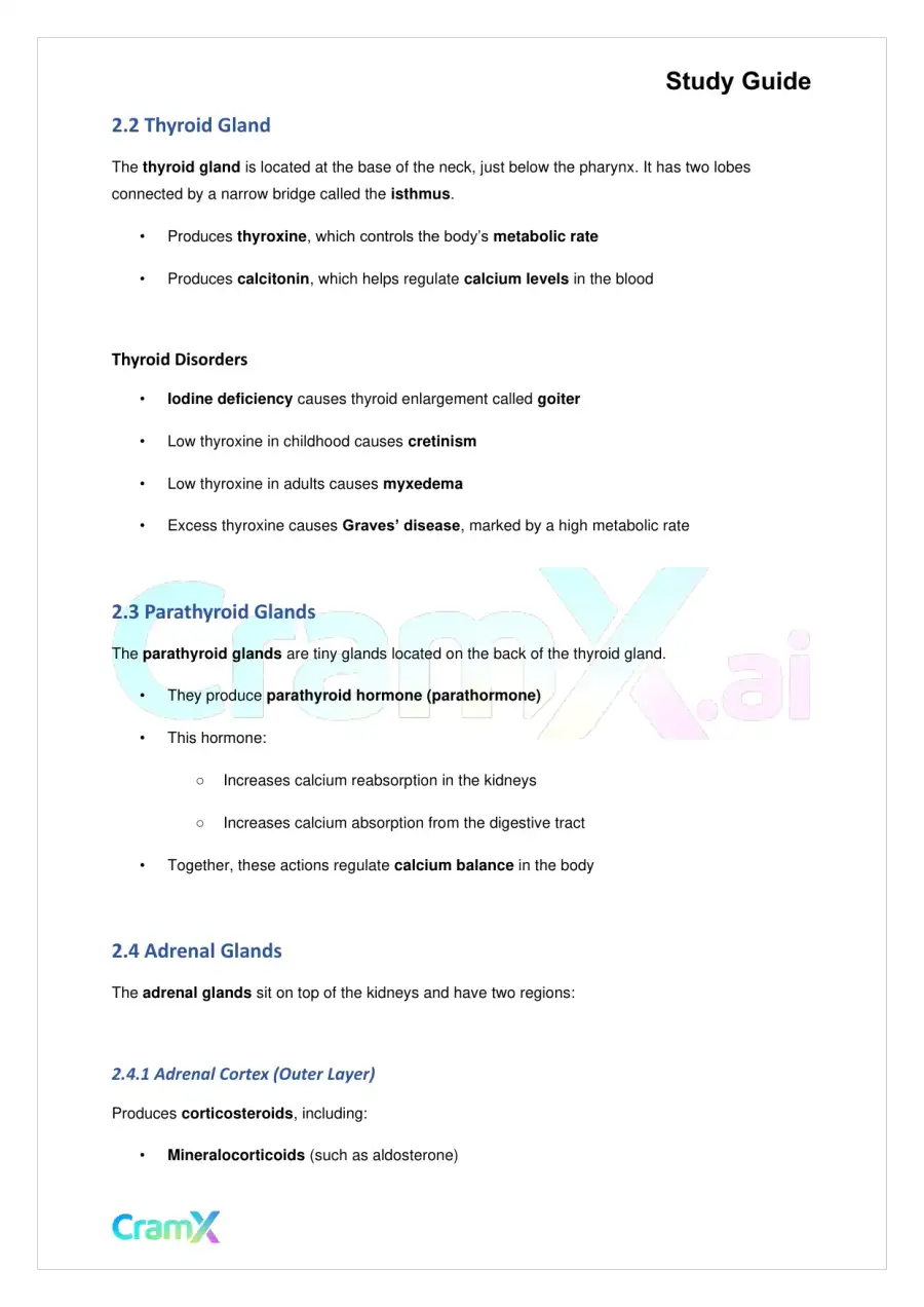 Biology - Chemical Coordination, page 5
