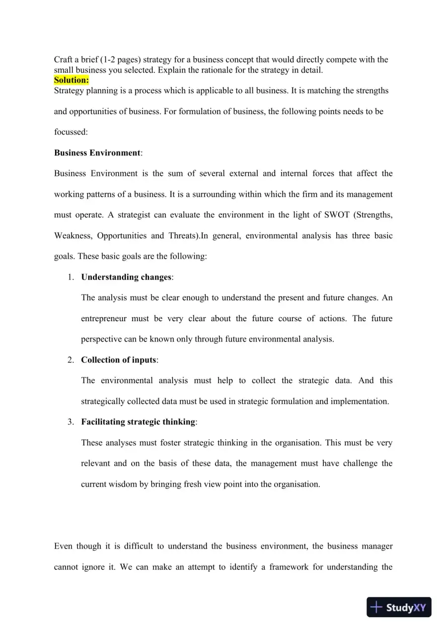 Analyzing Business Strategy and Ownership Decisions: A Competitive Business Plan for a Local Small Business, page 3